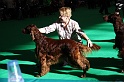 Crufts2011 089